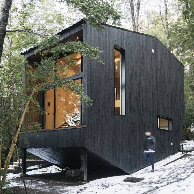 Rumah Gallareta OJA (Arsitektur Organik dan Penuh Kebahagiaan)